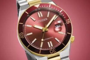 Eco-Drive y Radio Controlled